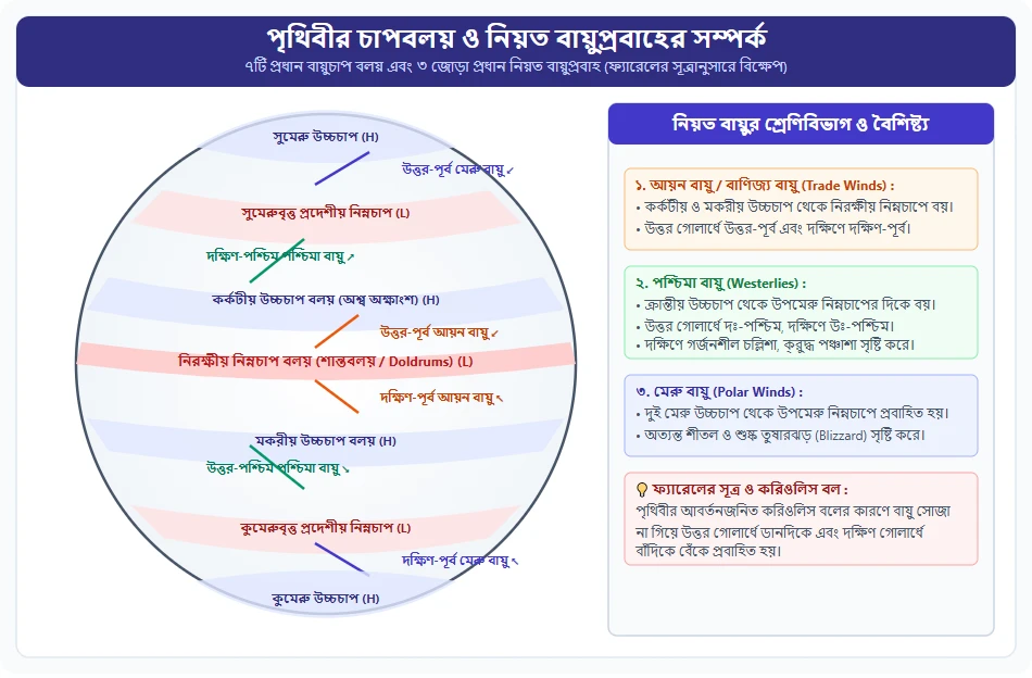 পৃথিবীর বায়ুচাপ বলয় ও নিয়ত বায়ুপ্রবাহের রেখাচিত্র