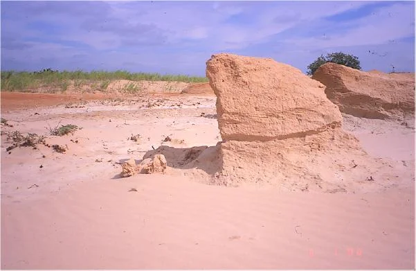 ইয়ারদাং ভূমিরূপ