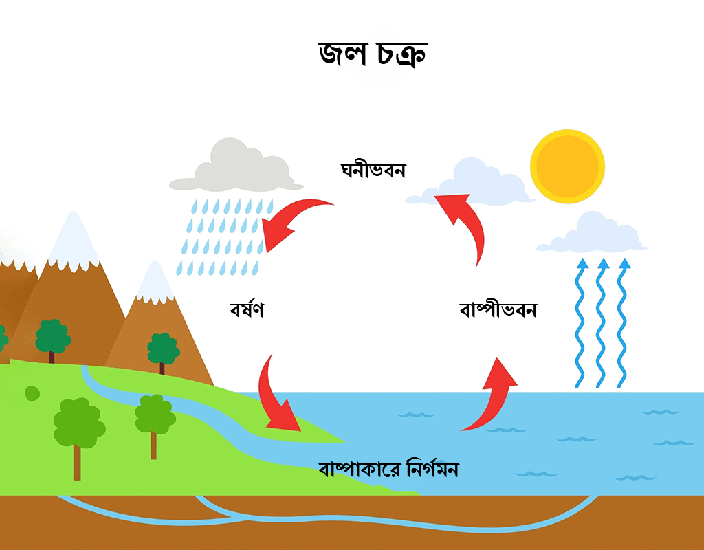 Water Cycle