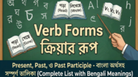 Verb Forms ক্রিয়ার রূপ | V1, V2, V3