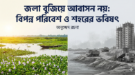 জলা বুজিয়ে আবাসন নয়: বিপন্ন পরিবেশ ও শহরের ভবিষ্যৎ